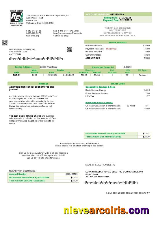 USA Ohio Lorain-Medina Rural Electric business utility bill